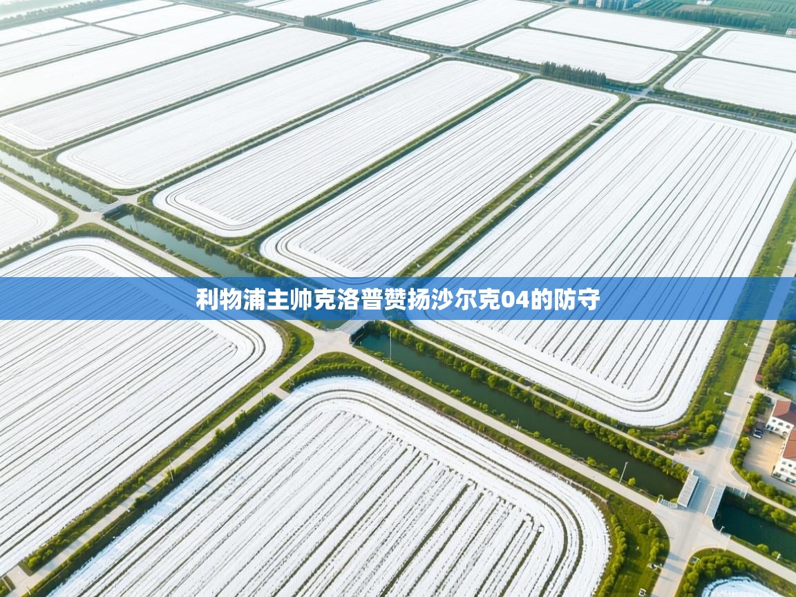 利物浦主帅克洛普赞扬沙尔克04的防守  第2张