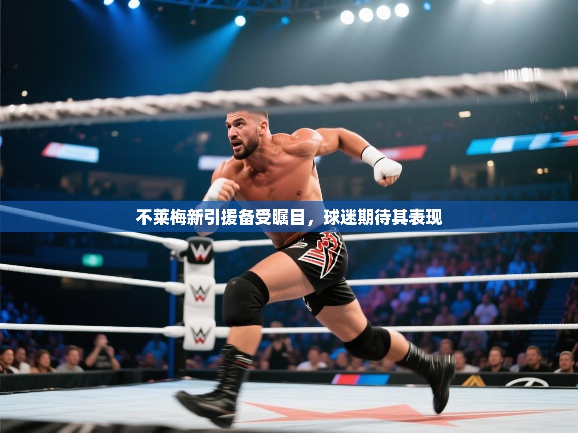 不莱梅新引援备受瞩目，球迷期待其表现  第1张