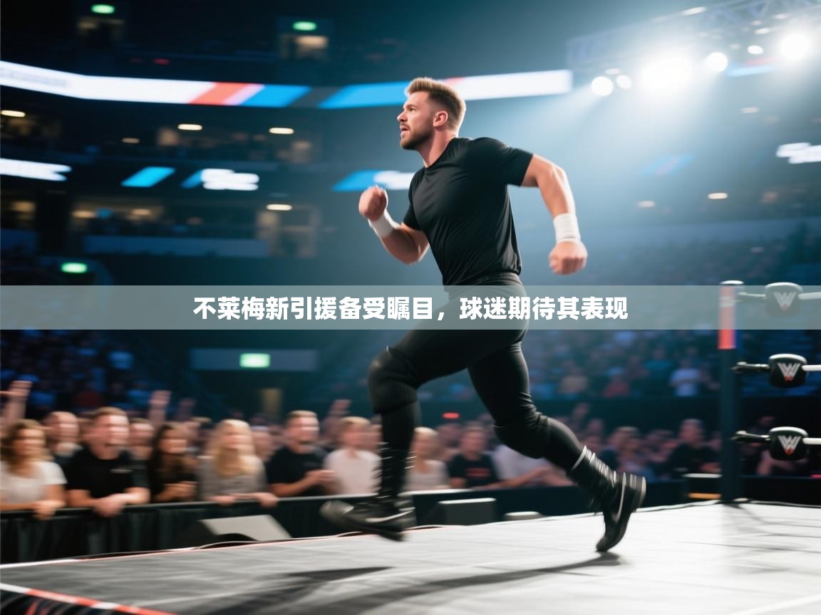 不莱梅新引援备受瞩目，球迷期待其表现  第2张