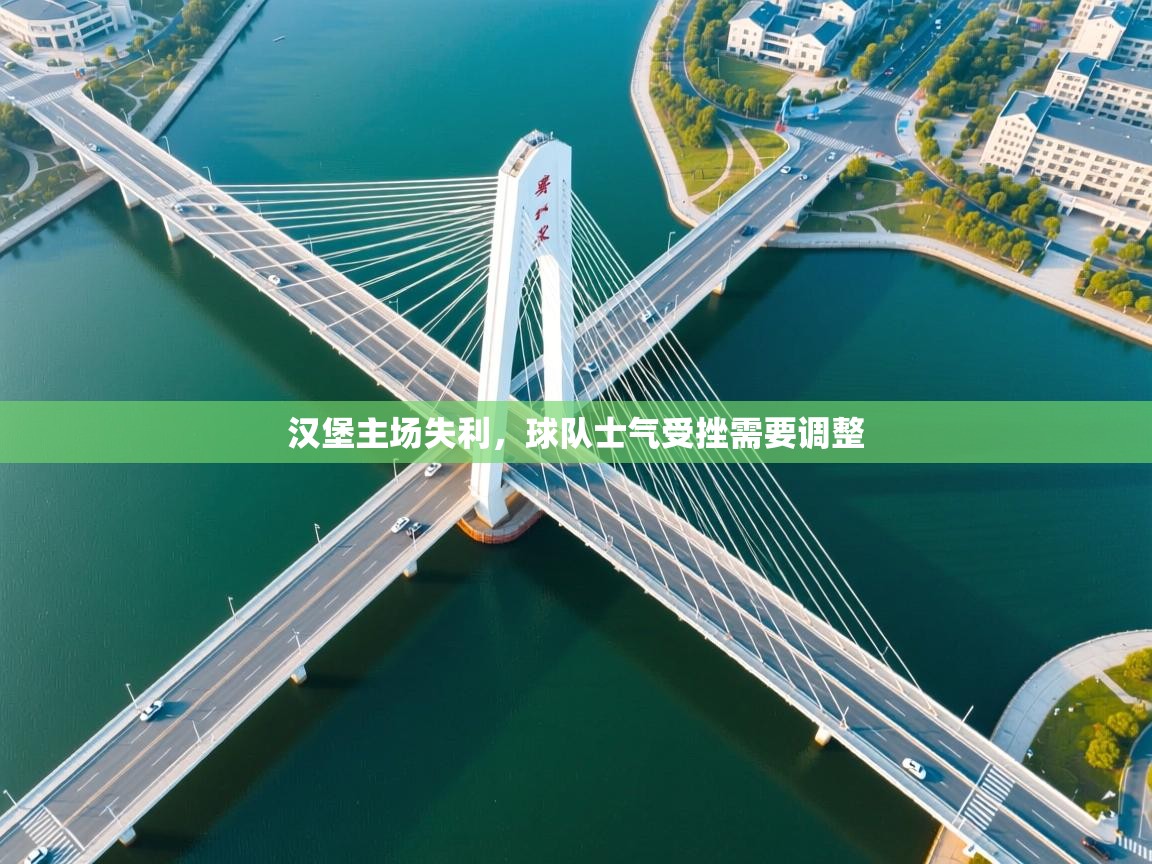 汉堡主场失利,球队士气受挫需要调整 第1张