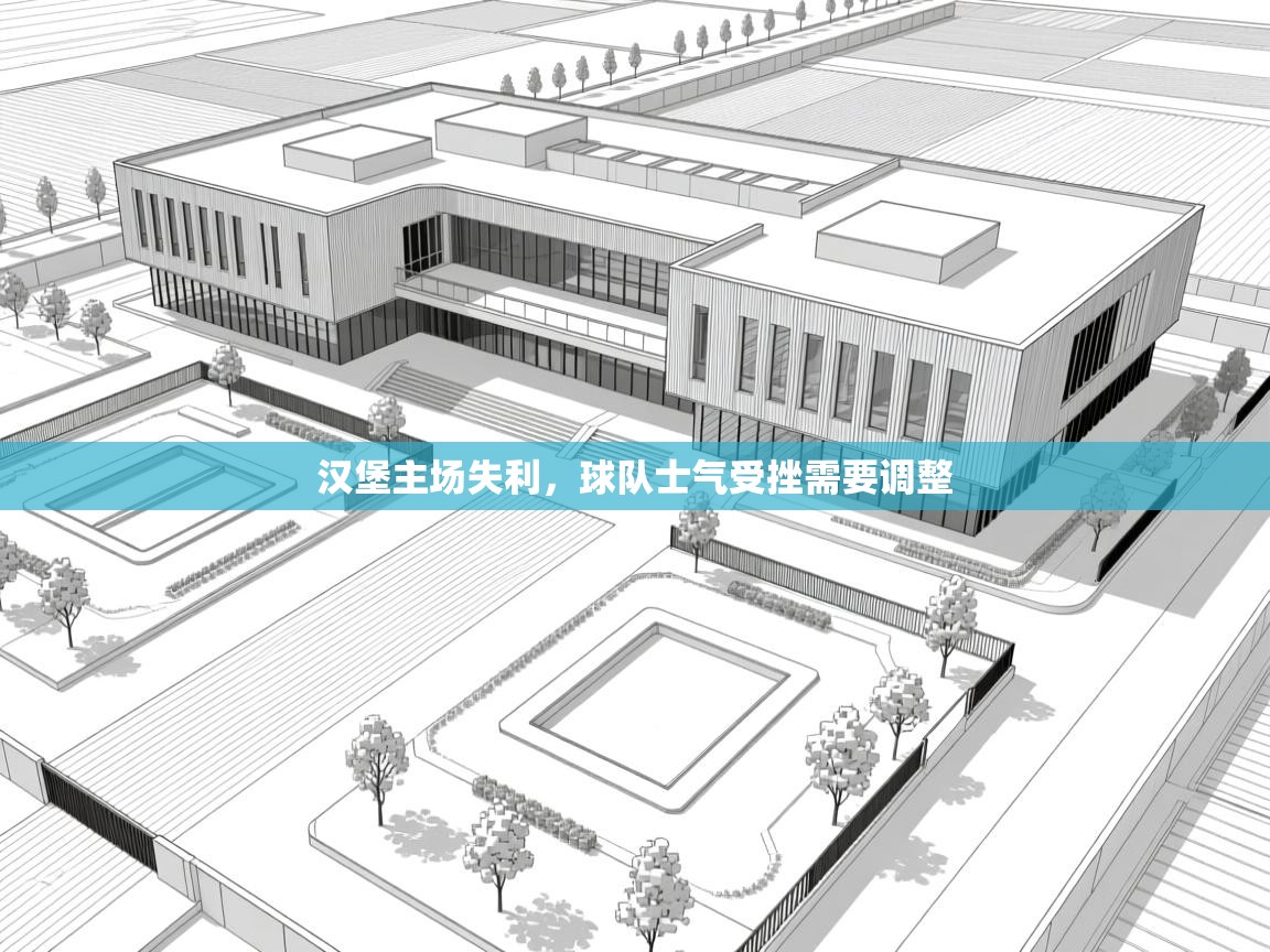 汉堡主场失利,球队士气受挫需要调整 第2张