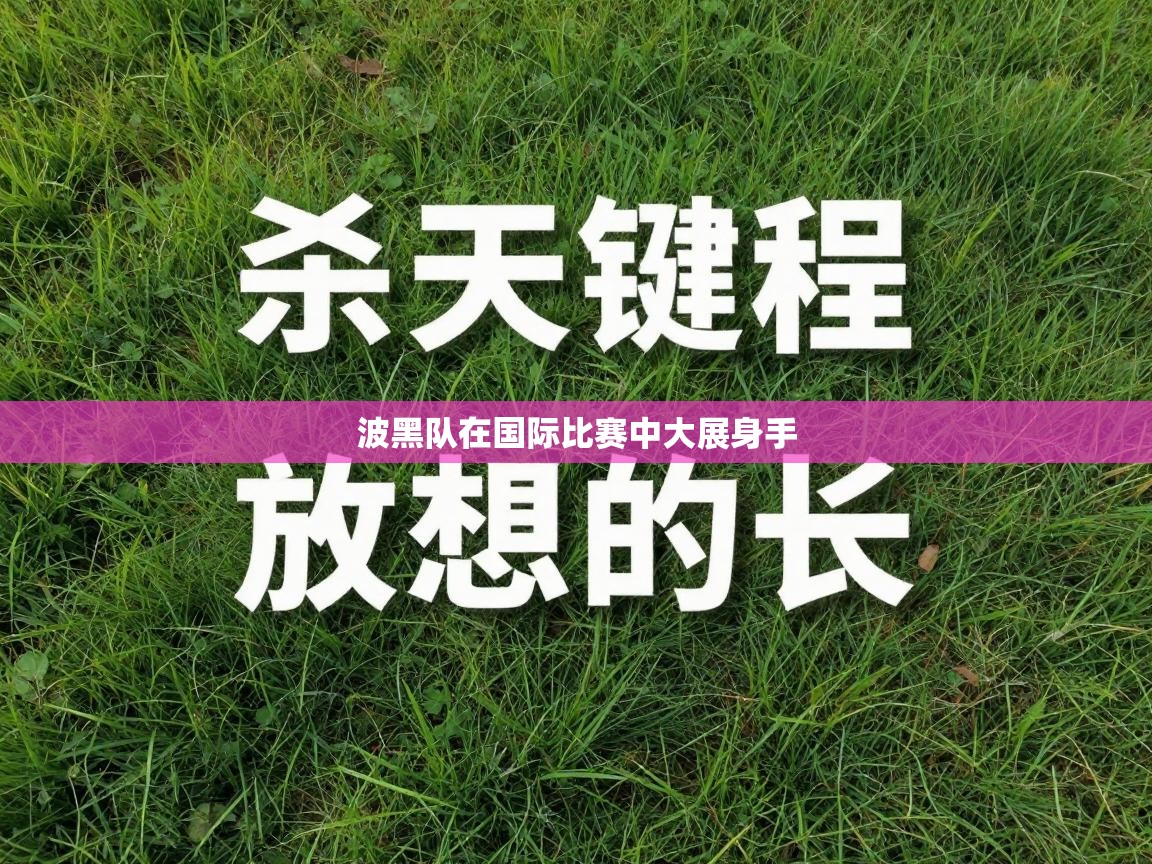 波黑队在国际比赛中大展身手  第2张