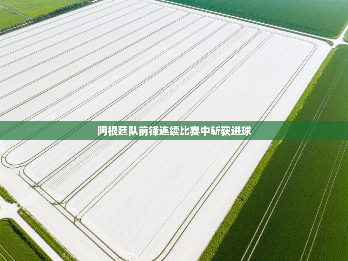 阿根廷队前锋连续比赛中斩获进球  第1张