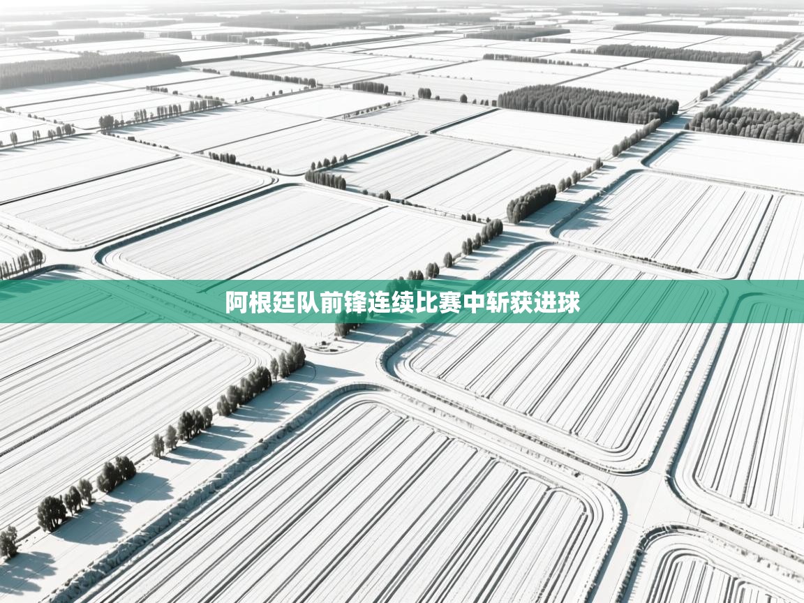 阿根廷队前锋连续比赛中斩获进球  第2张