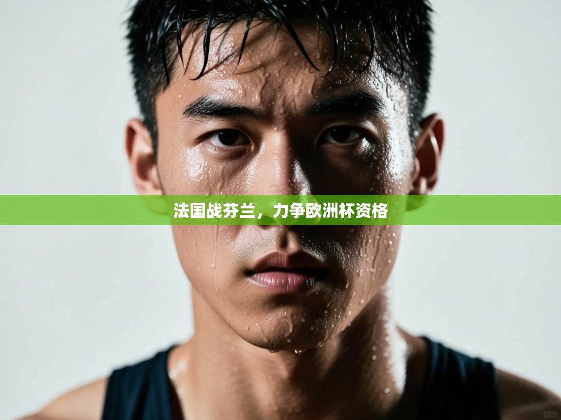 法国战芬兰，力争欧洲杯资格