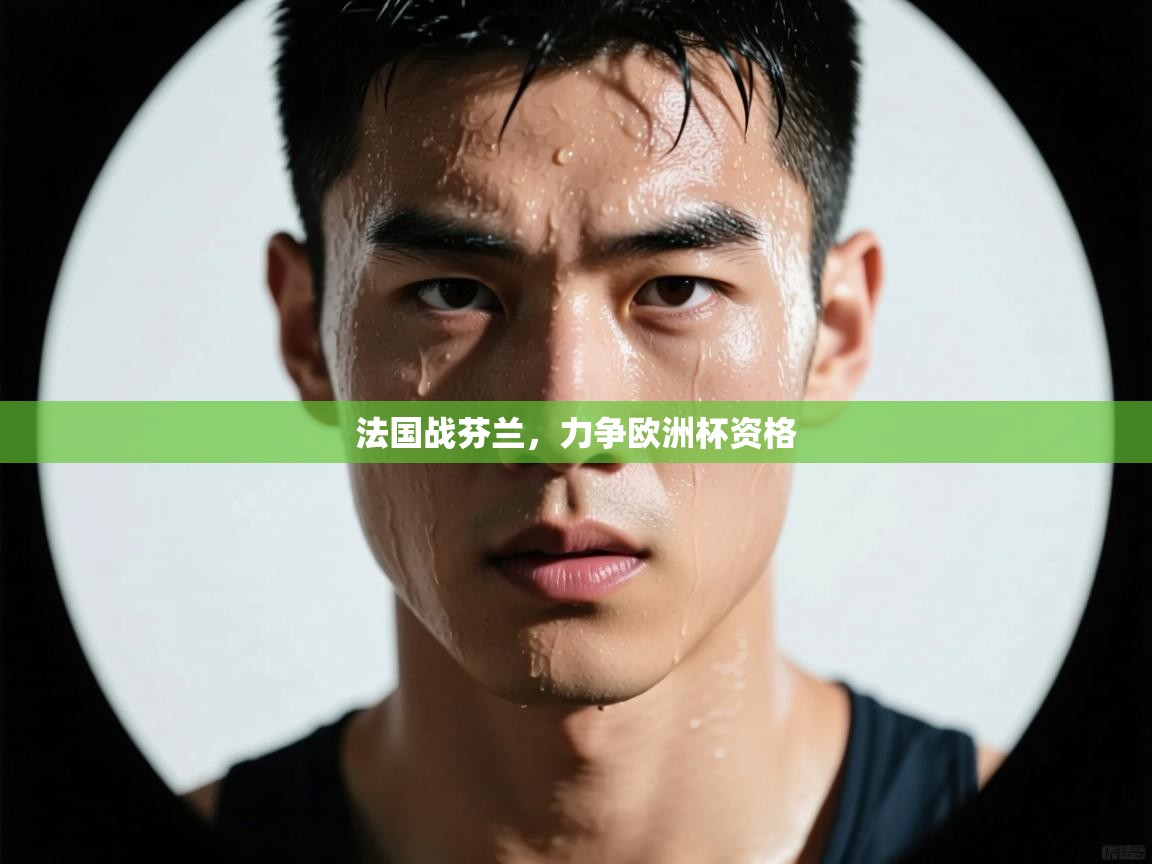 法国战芬兰，力争欧洲杯资格  第2张