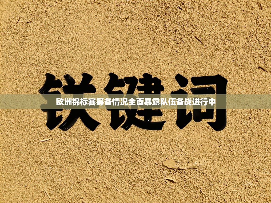 欧洲锦标赛筹备情况全面暴露队伍备战进行中  第2张